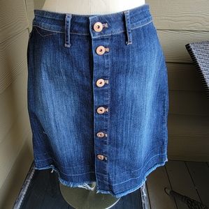 Denim Skirt from Articles of Society